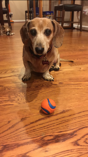 Copper