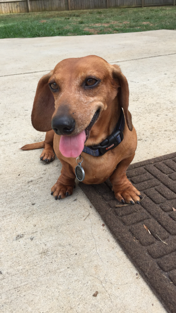 Jimmy Dean