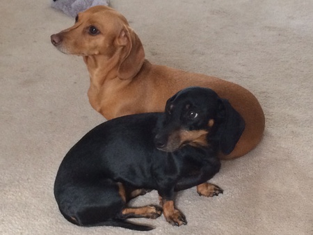 Lucy and Ethel