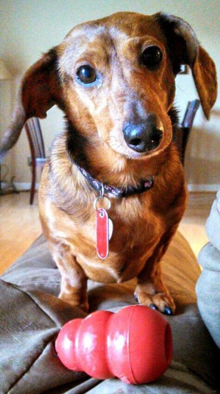 Gretchen