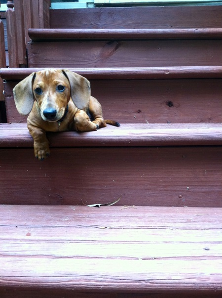 Slinky