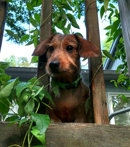 Jack