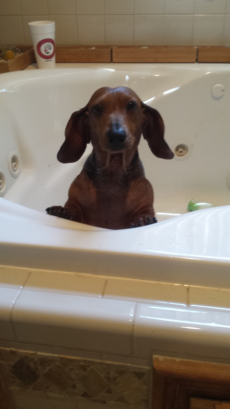 Cocoa