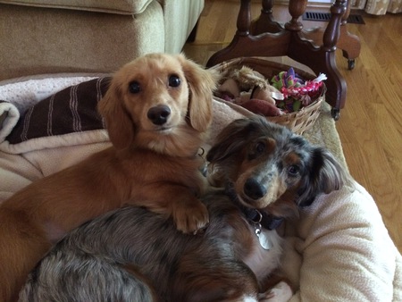 Layla and Cody
