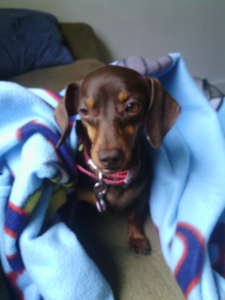 Molly