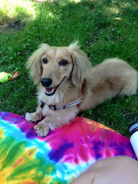 Rocket