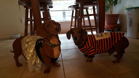 Jelly Bean and Lupo