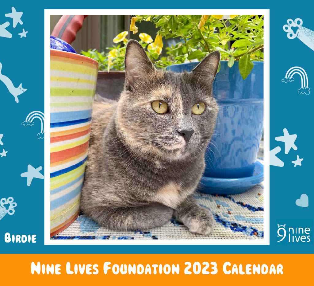 Nine Lives Foundation | 2024 Calendar Photo Contest