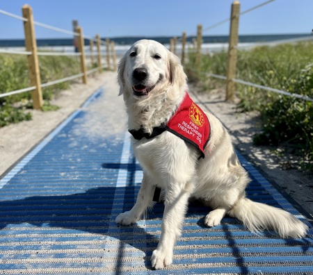 Kona