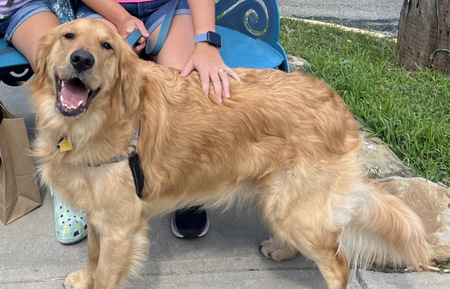 Finnegan 