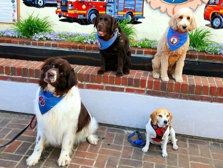 Stryker, Ember, Oakley and Mel