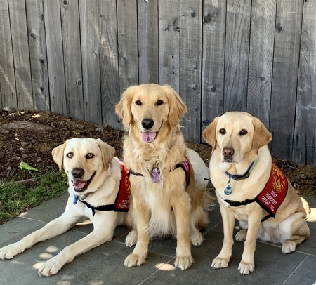 Rocket, Kerith and April