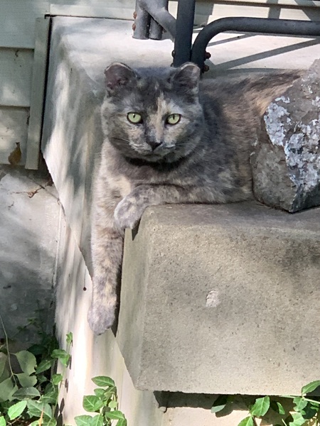 Ellie Mae