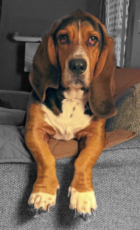 Sebastian 