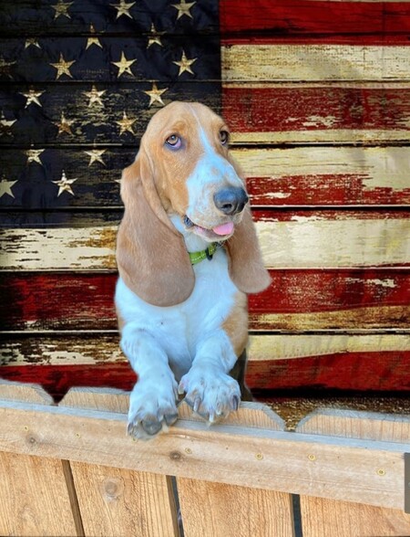 Tucker