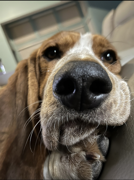 Tucker
