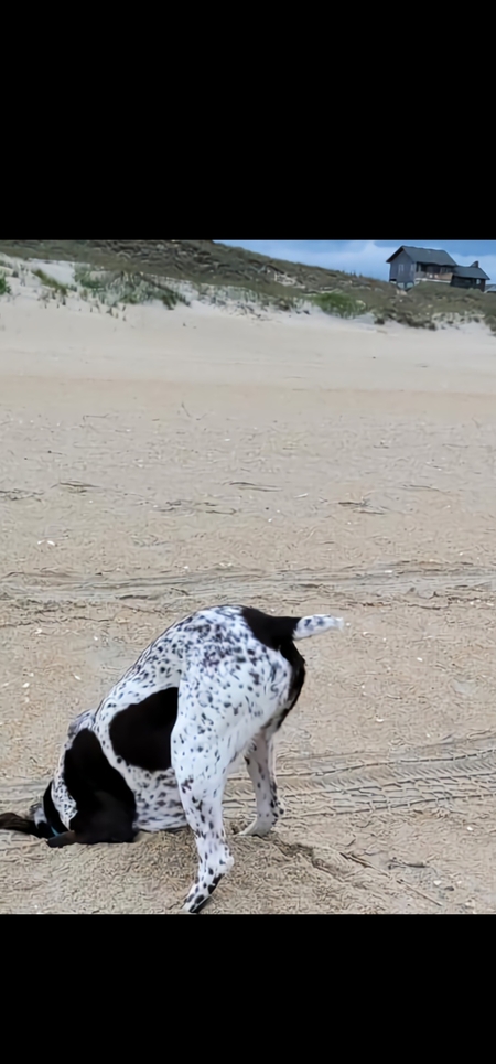 Ella (at the beach 😁)