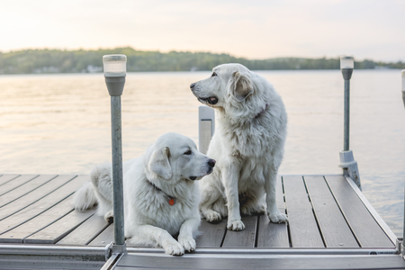 Jackson & Sadie