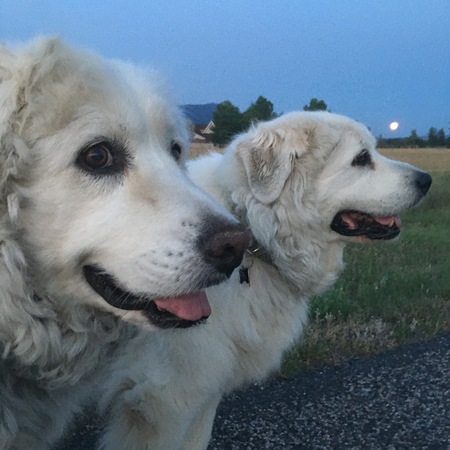 Theo and Sophie