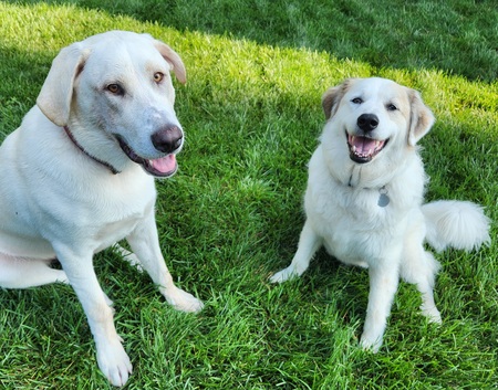 Pippa and Ranger