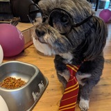 Entry image for Pepper Todd