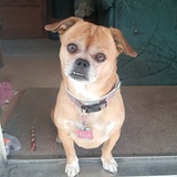 Entry image for Ella