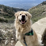 Entry image for Loki