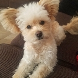 Entry image for Chloe