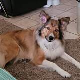 Entry image for Lucy
