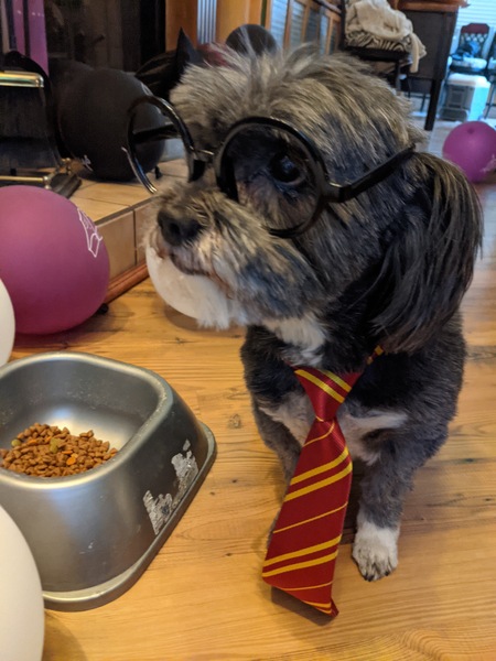 Entry image for Pepper Todd. Clicking this image will show a larger photo