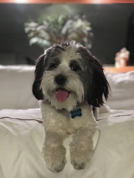 Benny