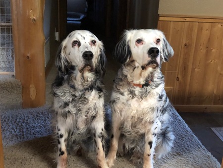 Chiefie and Major