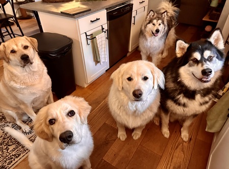 Tucker, Toshi, Xander, Xeno, & Xaeda