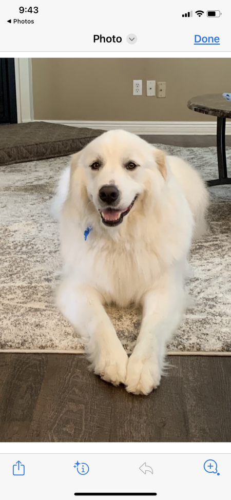 Billy