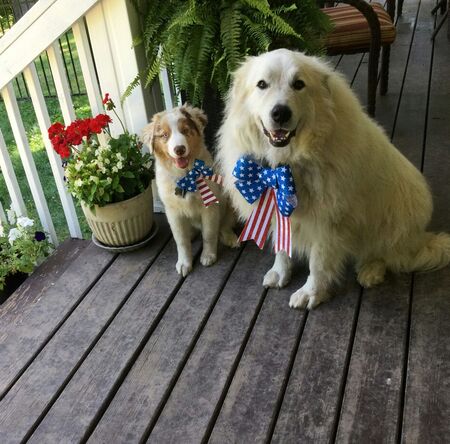 Maya and Levi