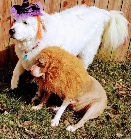 Beauty & Jazzy