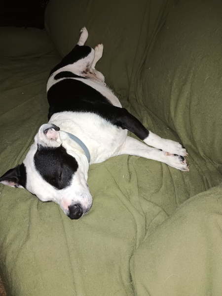 Benny