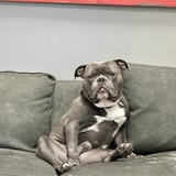 Entry image for Rocky DeLaney