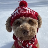 Entry image for Myrtle 