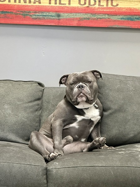 Entry image for Rocky DeLaney. Clicking this image will show a larger photo