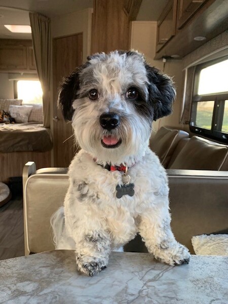Milo