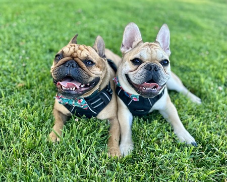 Birt & Ernie