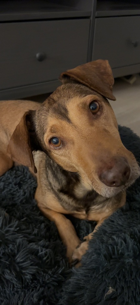 Oliver