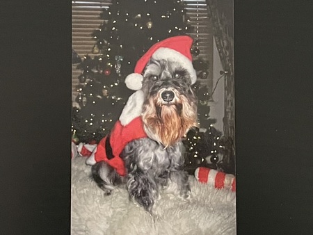 Roscoe 