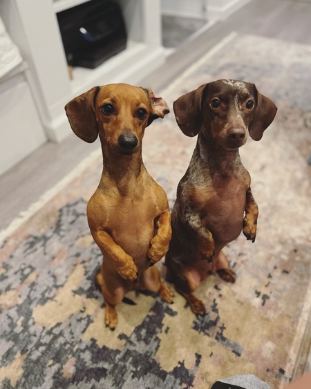 Iris and Bernard 