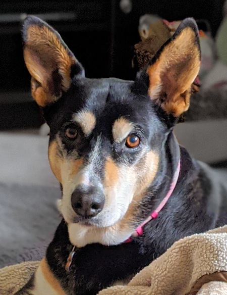 Bella