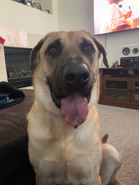 Bruce