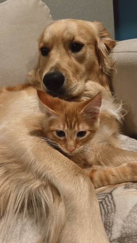 Bodhi and Bennett 