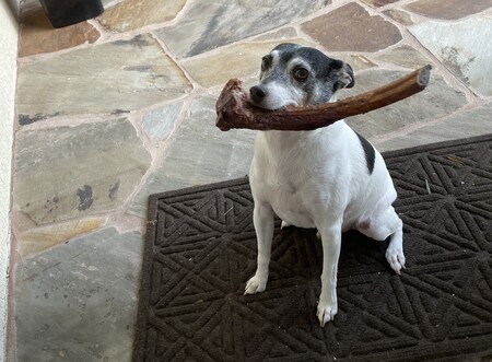 Gabby