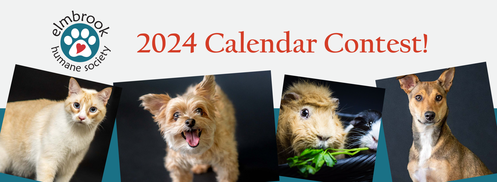 Elmbrook Humane Society 2024 Elmbrook Humane Society Calendar Photo